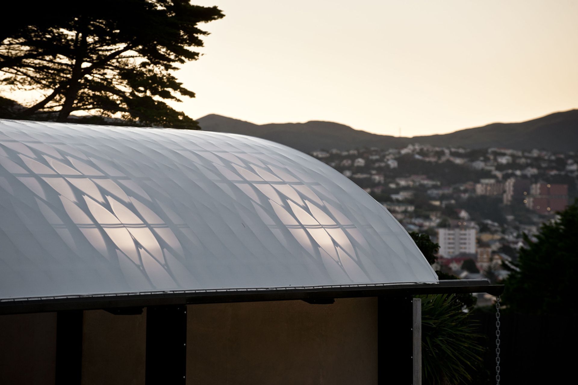 The Wellington Zoo Hub