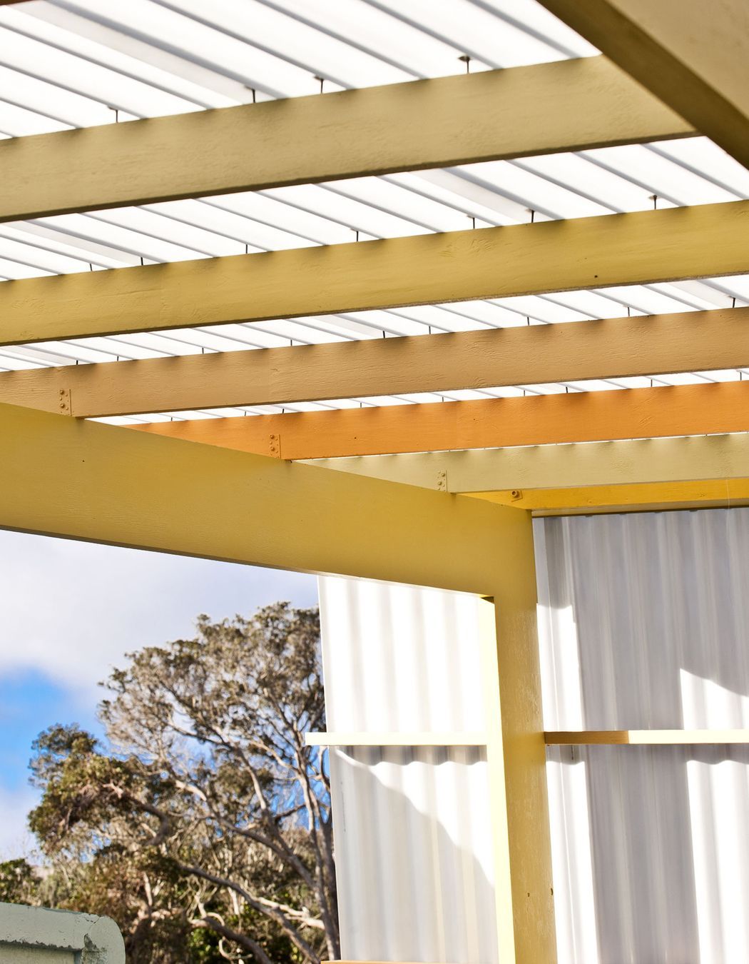 The Wellington Zoo Hub