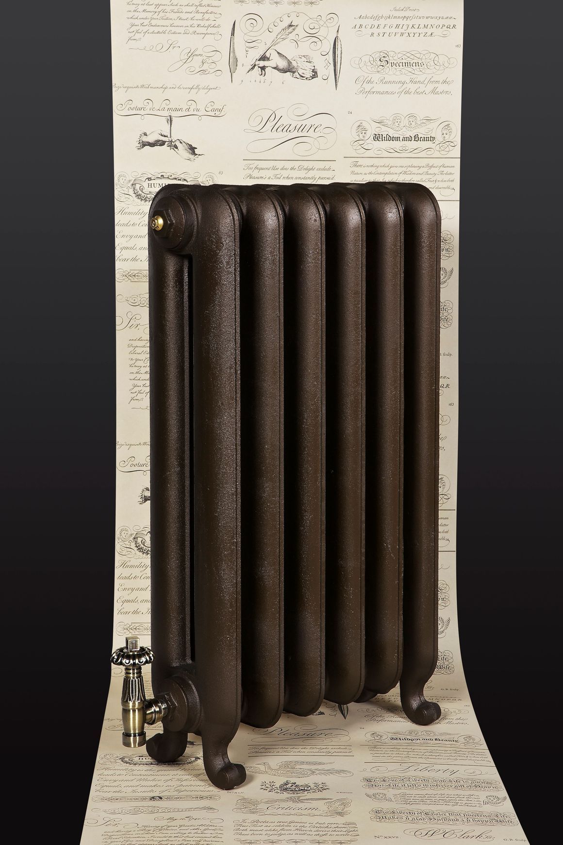 Bartholomew Cast Iron Radiator Range by Paladin