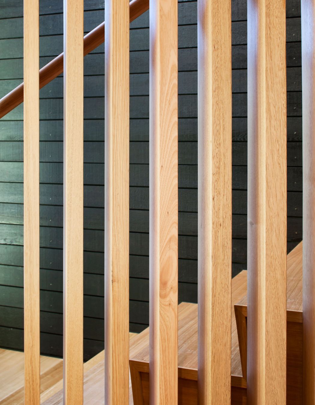 Contemporary New House in Point Chevalier