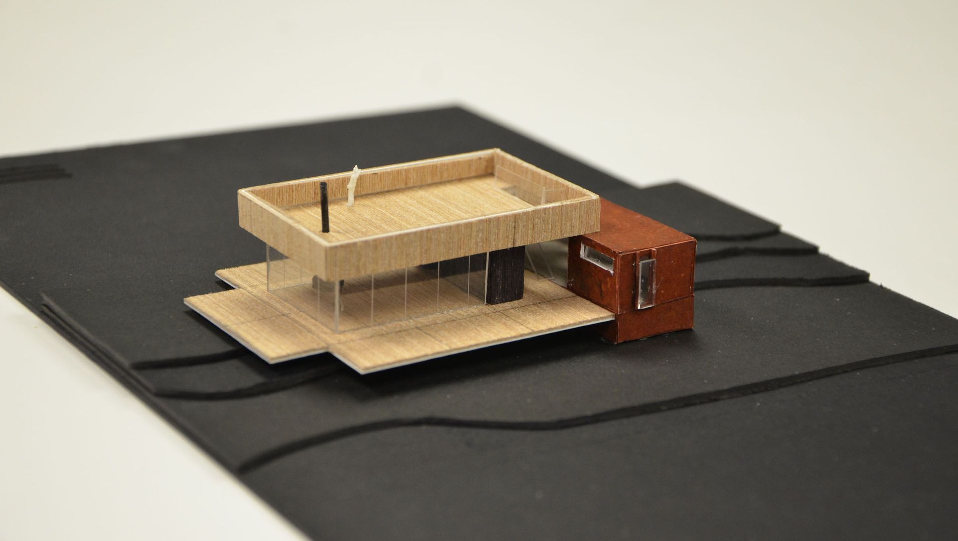 Golden Bay Bach banner