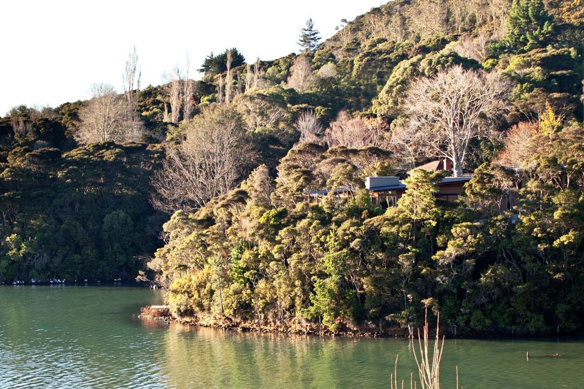 Doctors Point House, Otago