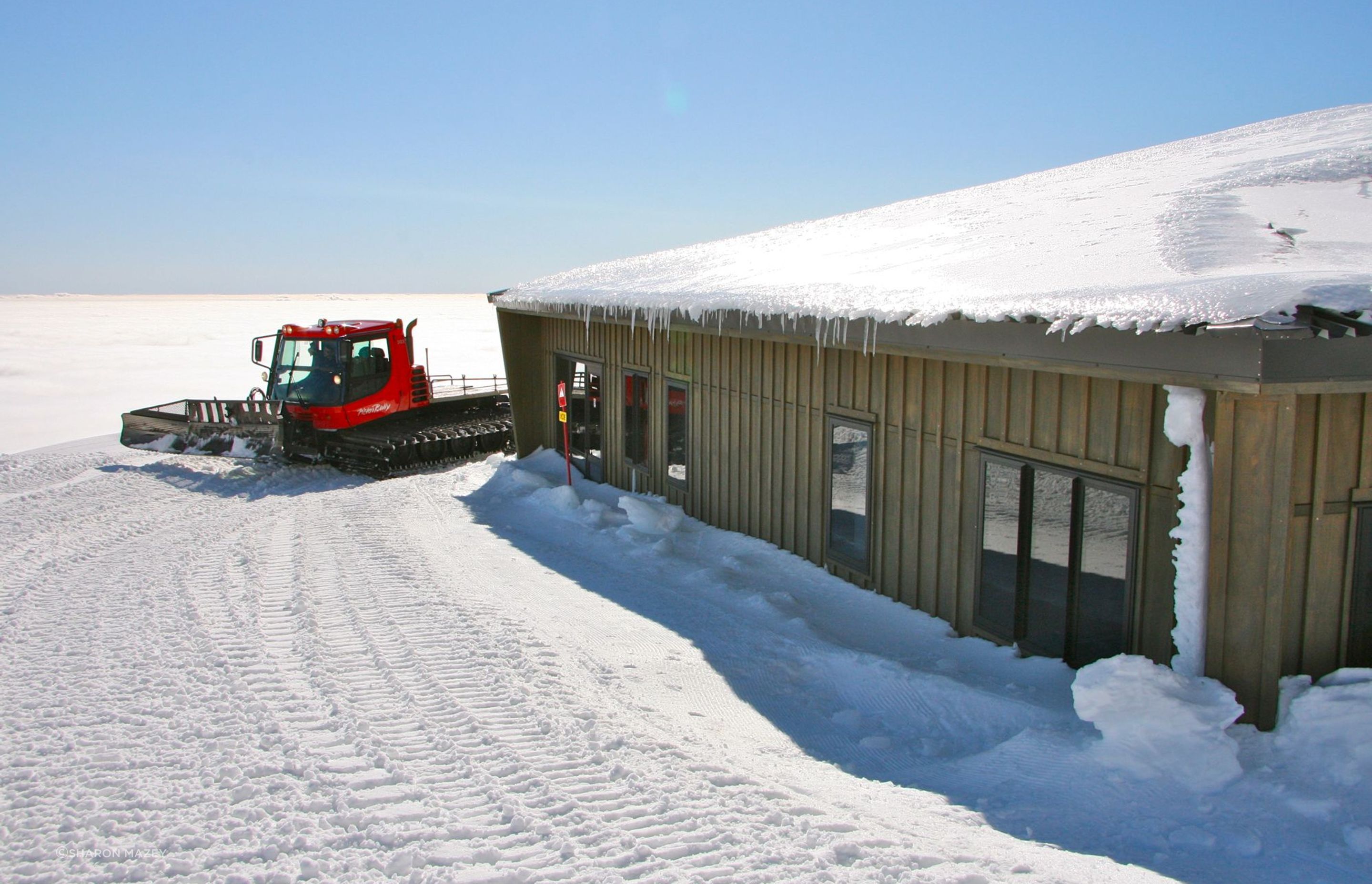 Knoll Ridge Cat Shed