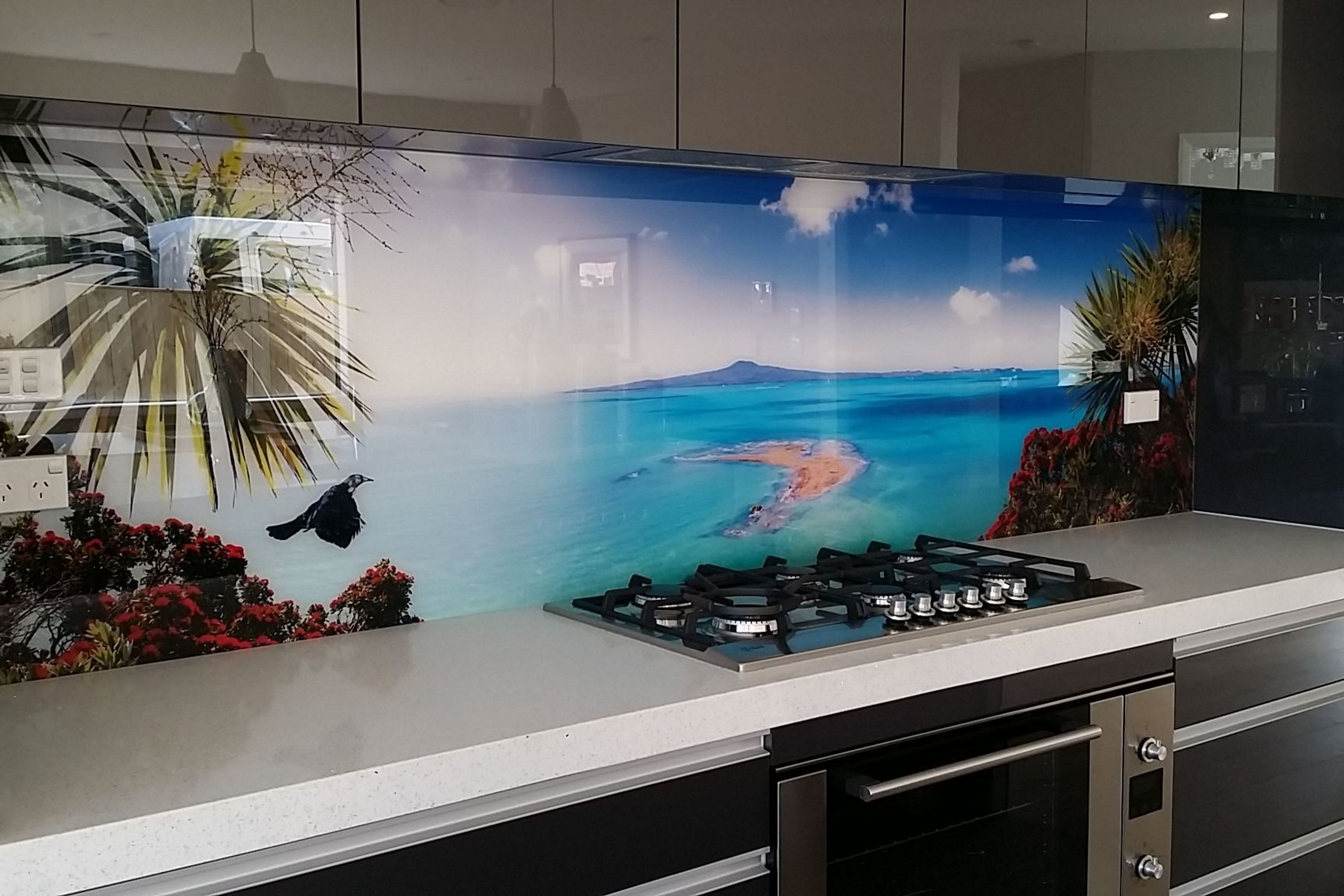 Haynes Glass Graphic / Image Splashbacks