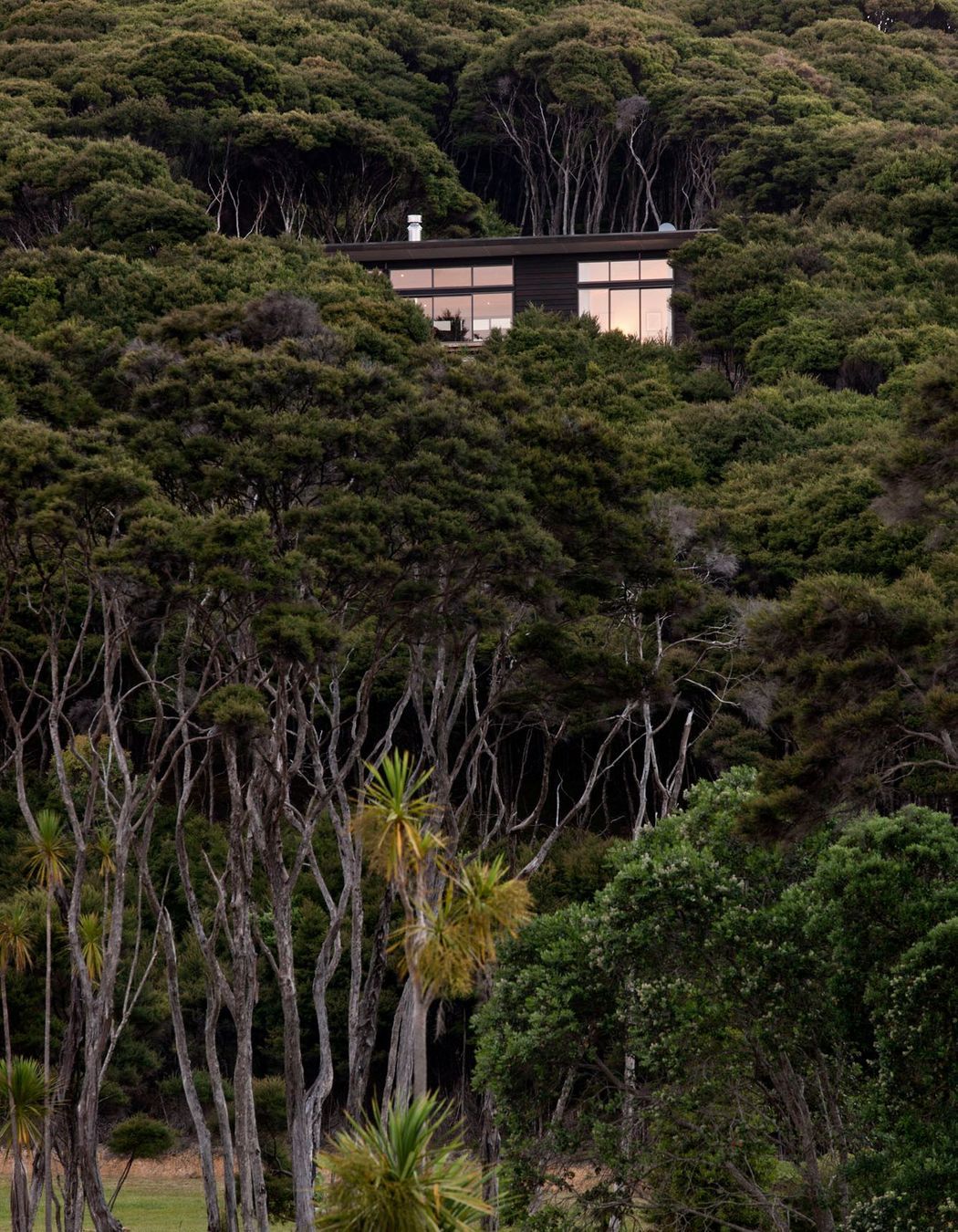 Kawau Island House