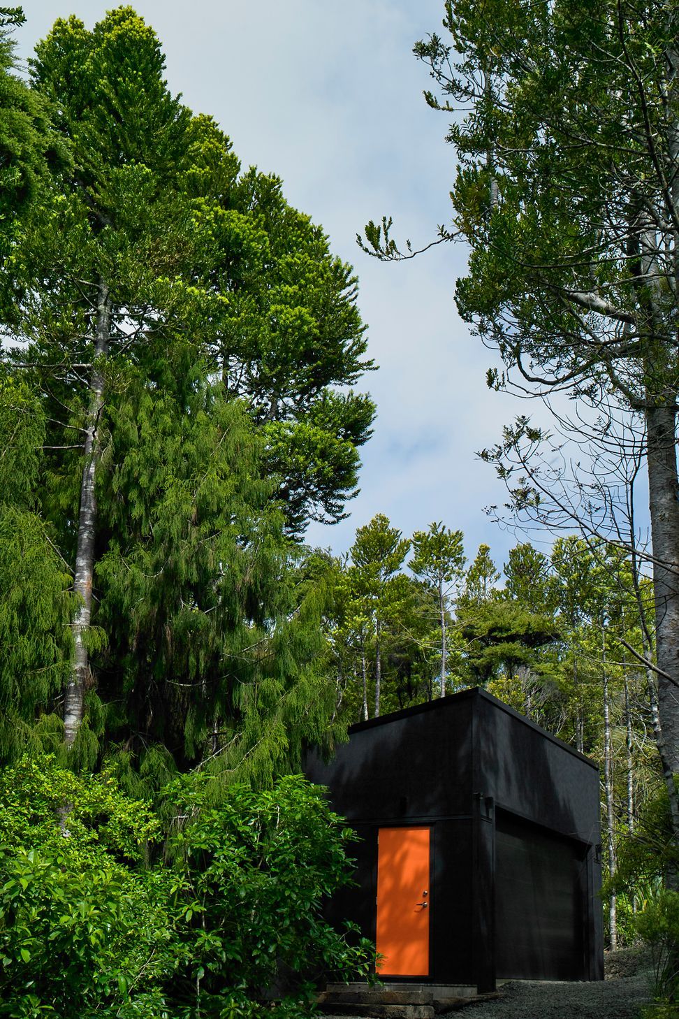 Te Aute Ridge House