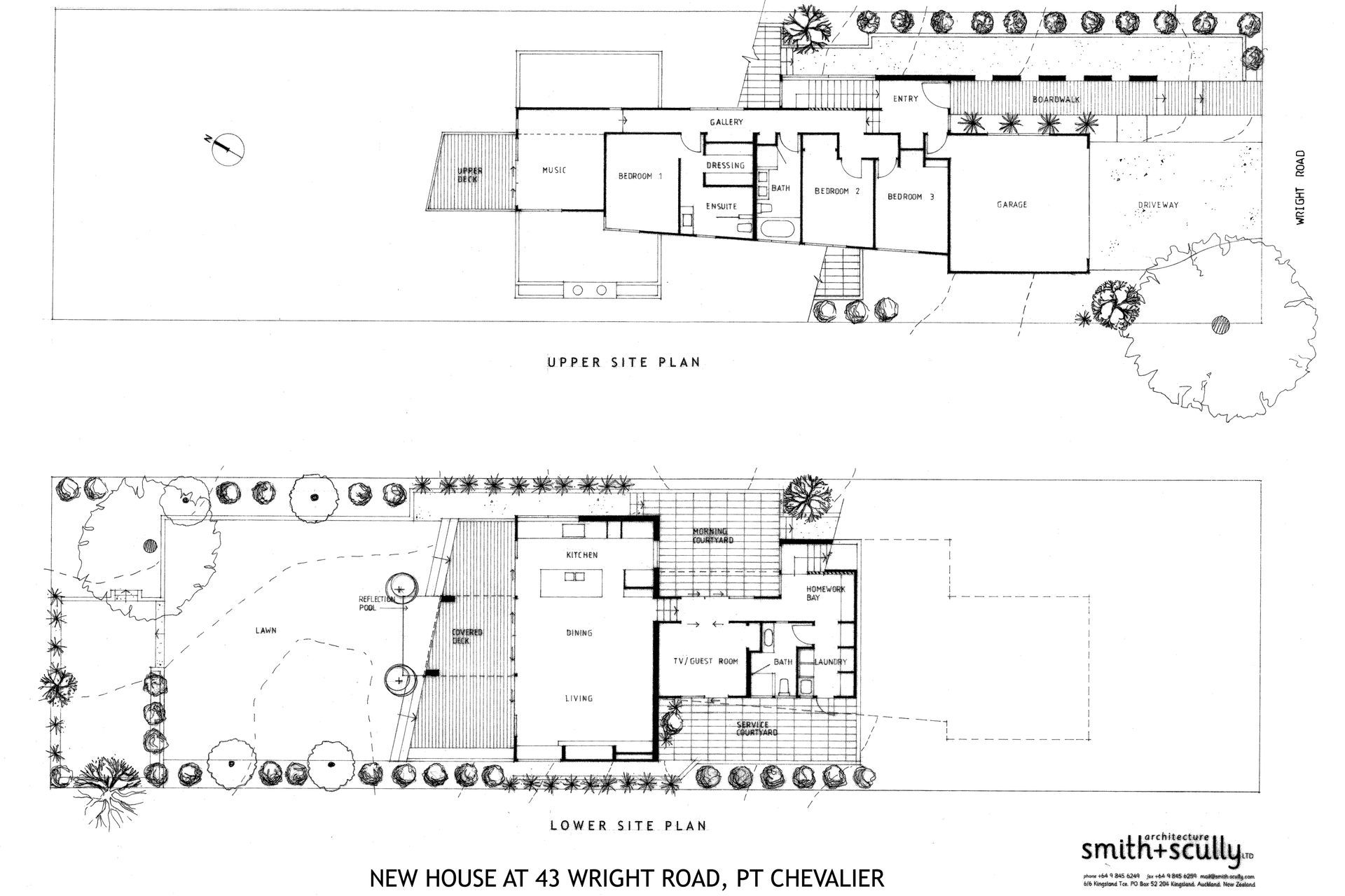 Contemporary New House in Point Chevalier