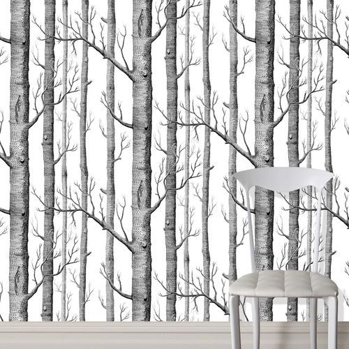 Contemporary Selection Wallpaper Collection by Cole and Son