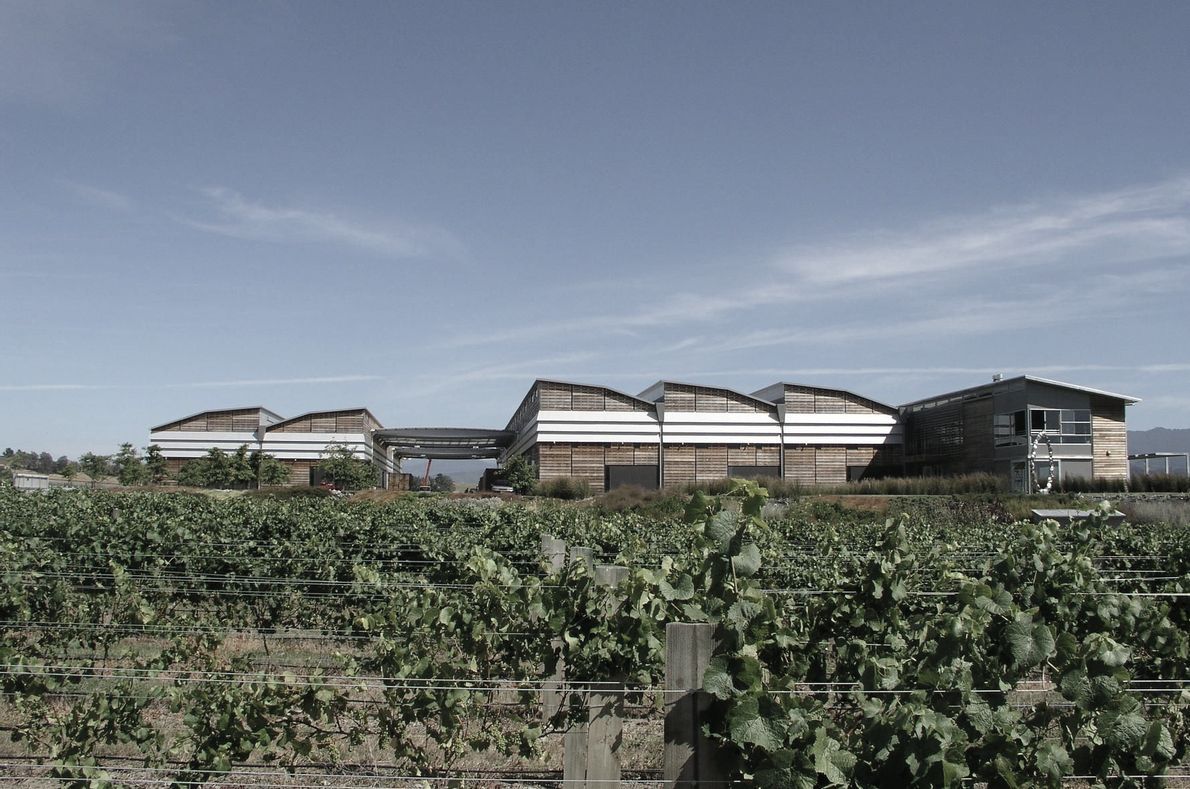 Spy Valley Winery 