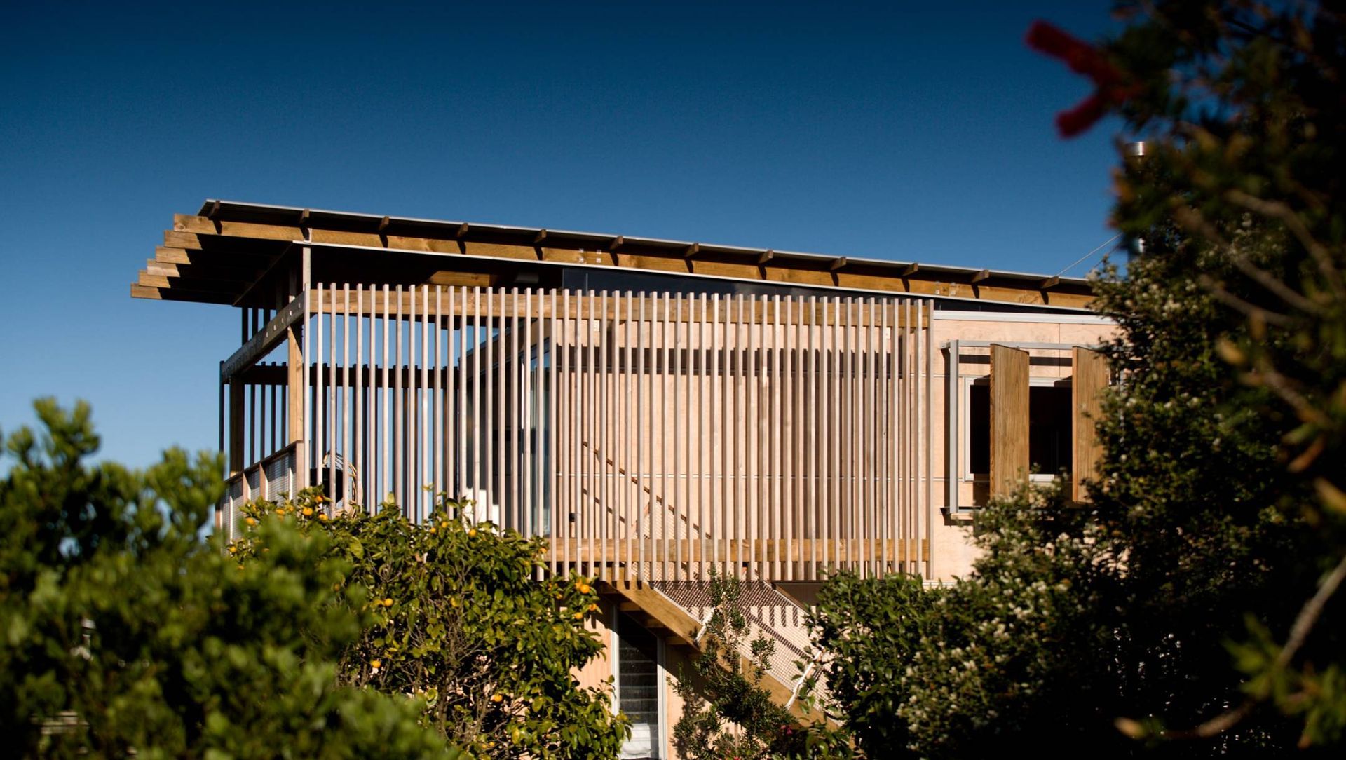 Hammerhead House banner