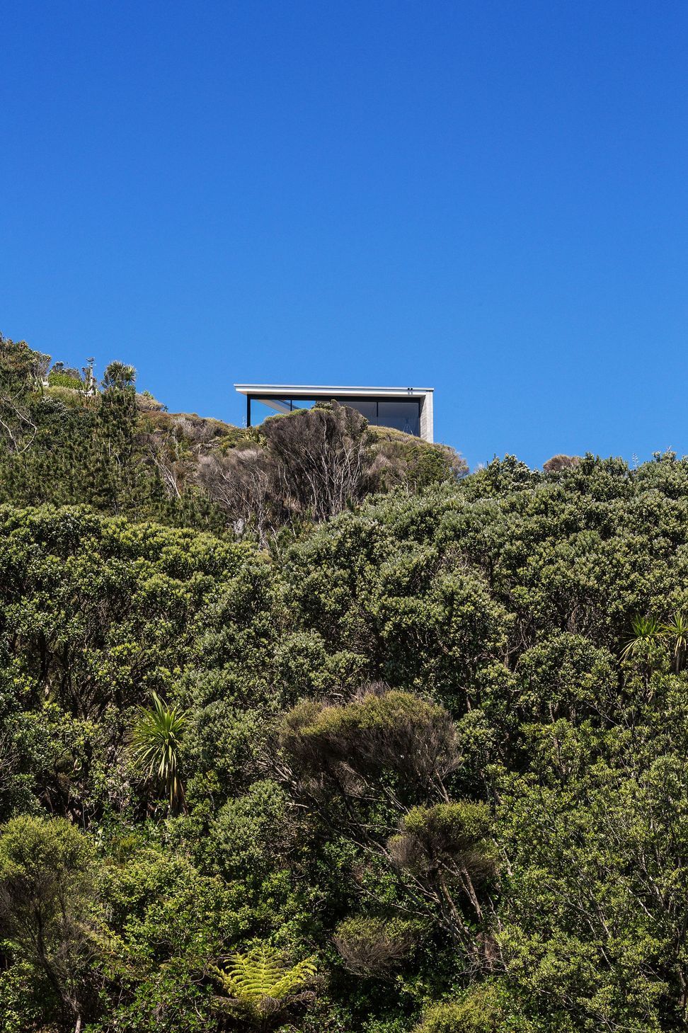 Muriwai House