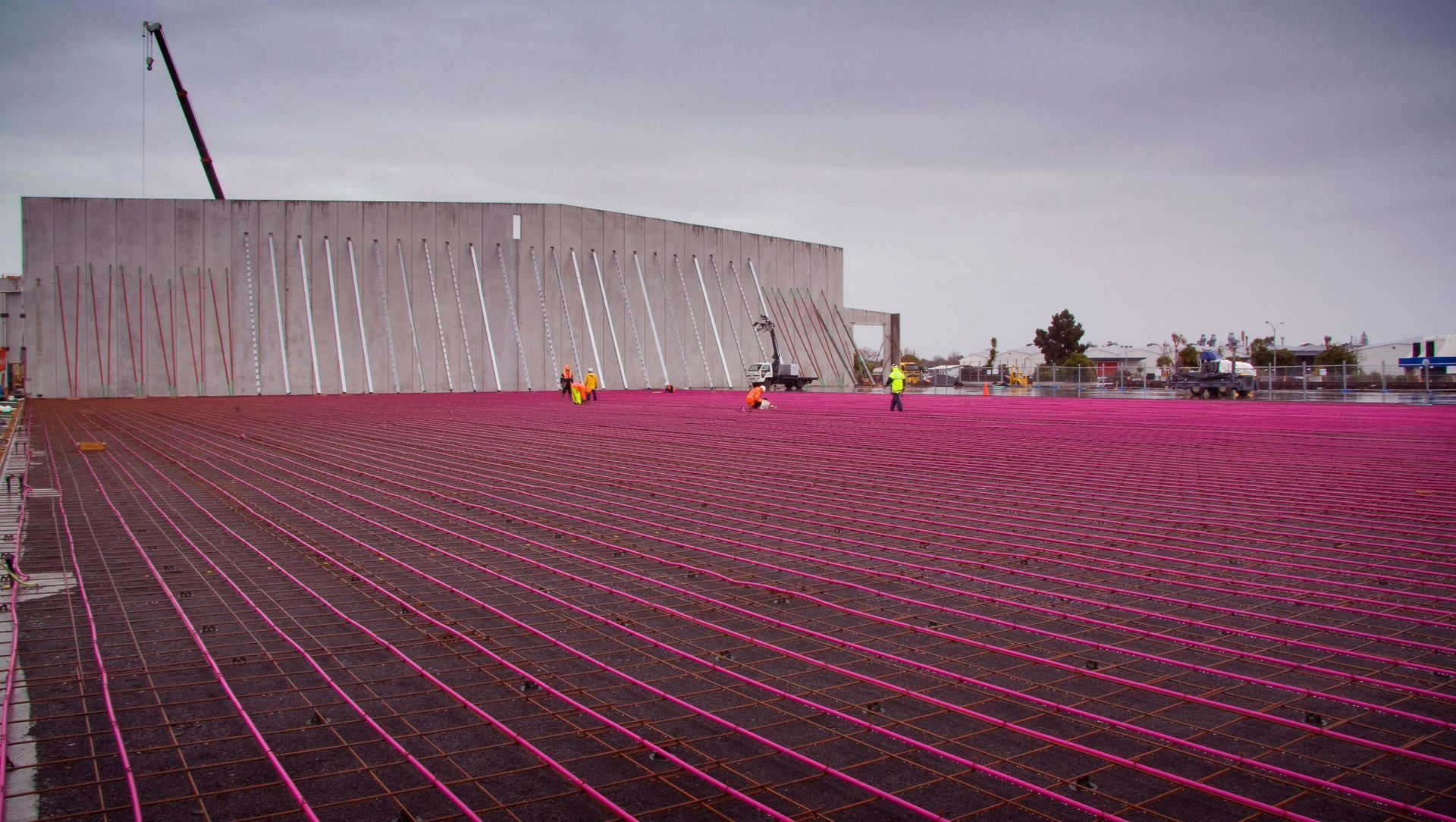 Fonterra Freezer Crawford St Te Rapa banner