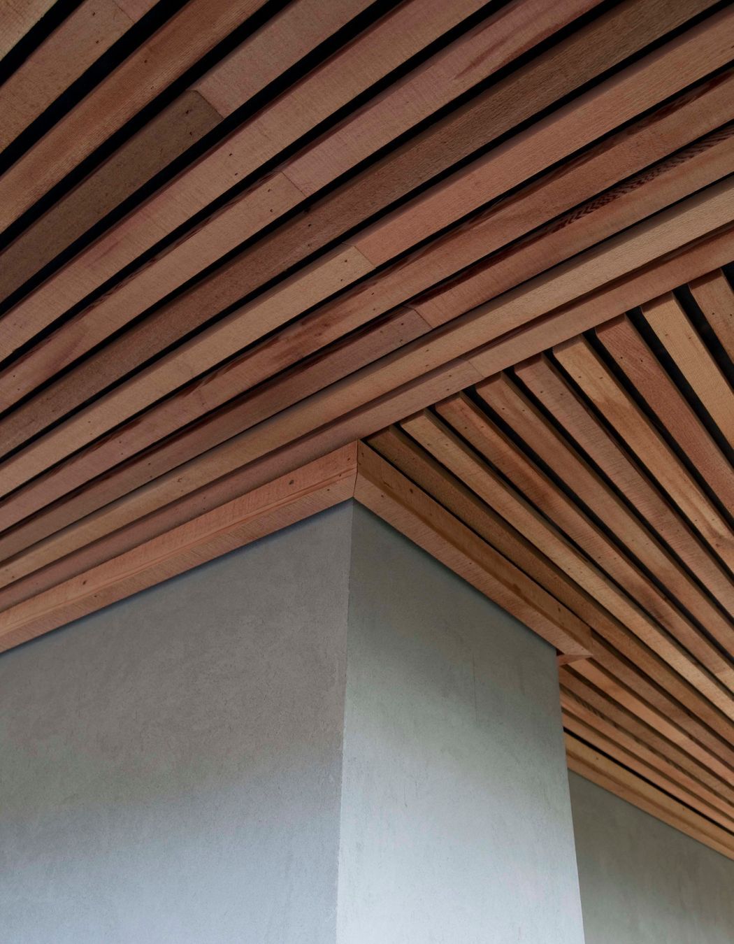 Sustainable - Waiheke Island