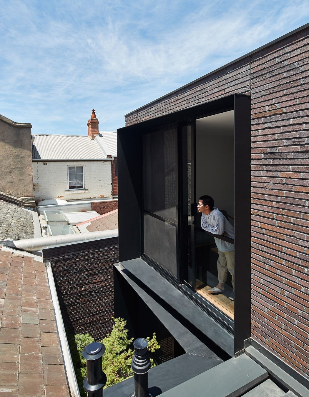 Enveloped by a leafy tree and a tapestry of low-maintenance greenery, the airy space breathes life into the extension.