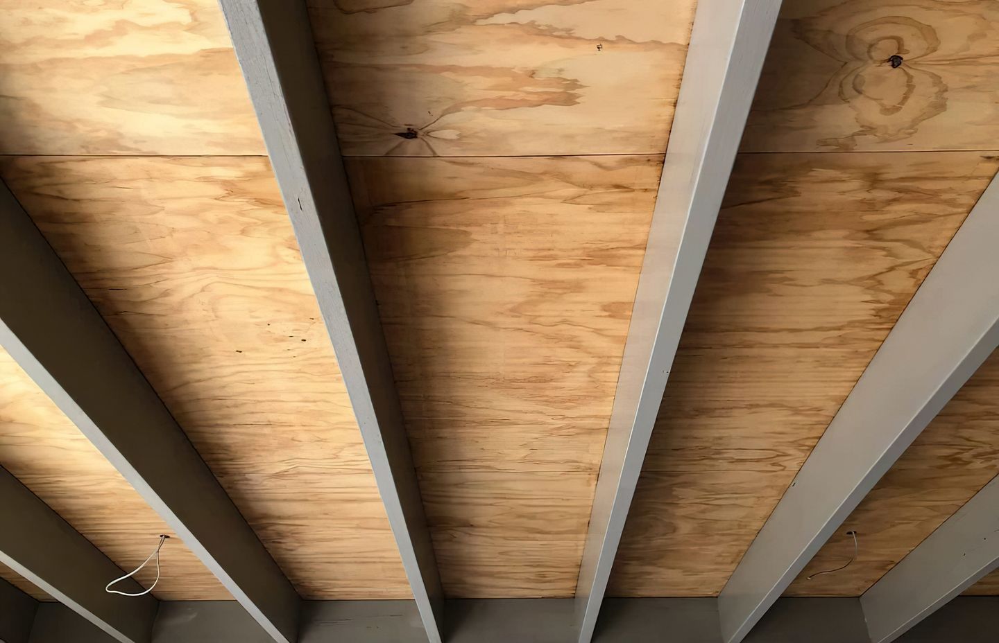 Mosman House starting to shape up