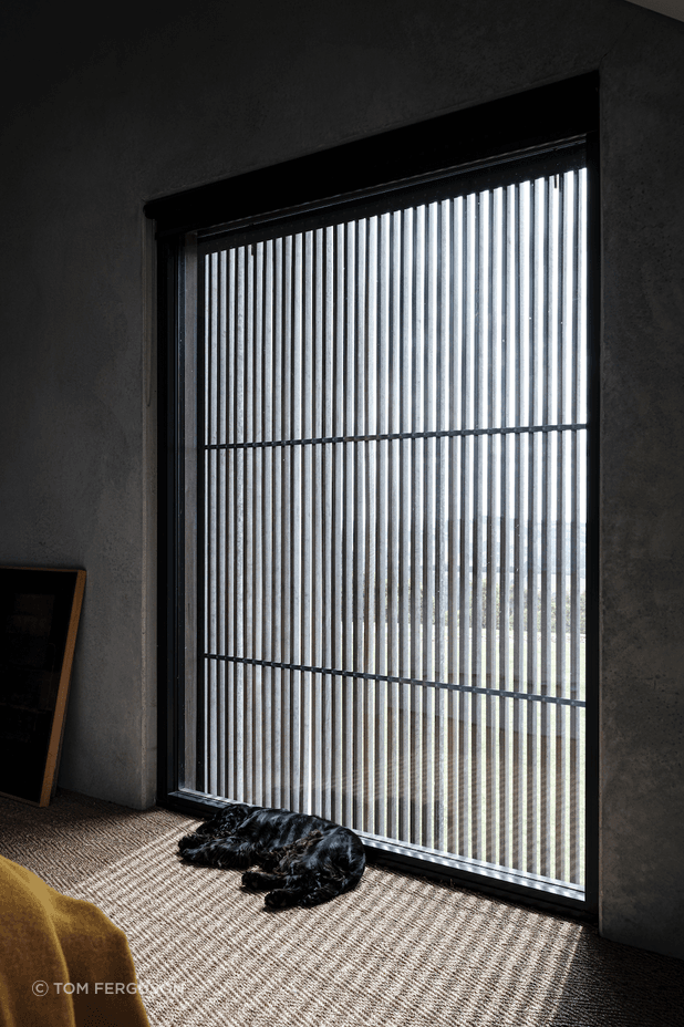 Variations in ceiling height create a whole new look and feel to each segment of the house.