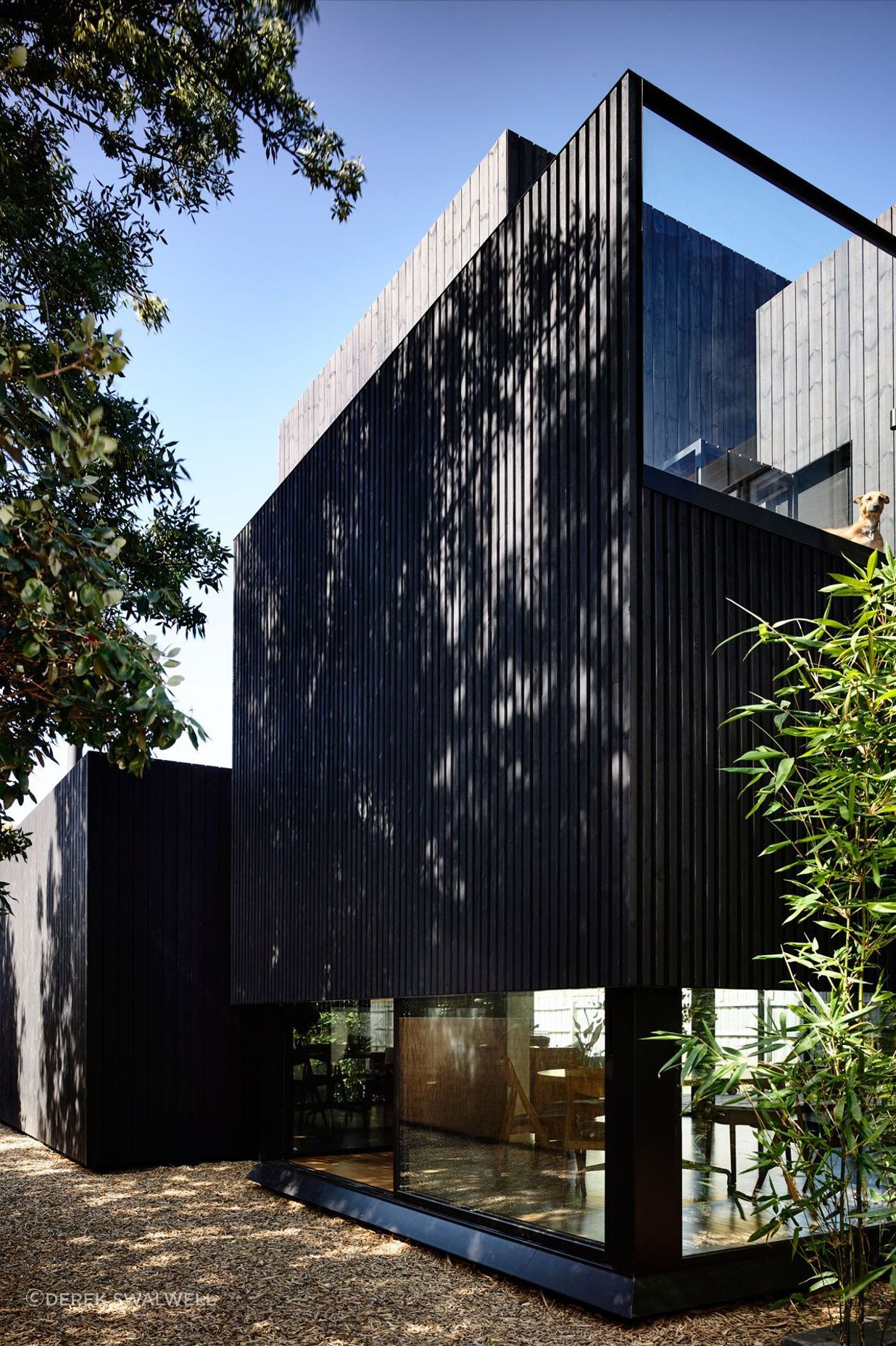 Large windows soften the charred timber cladding.