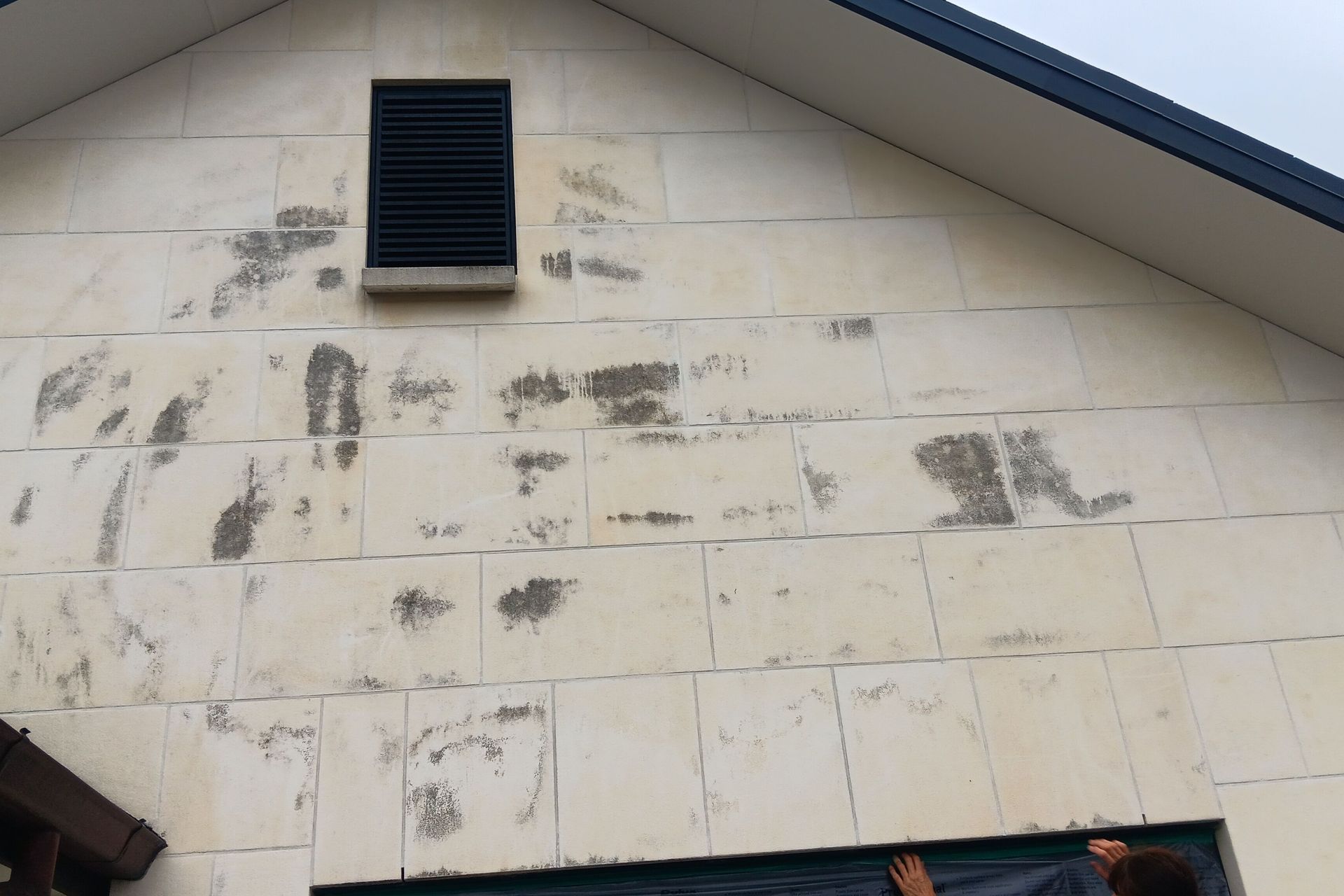 Oamaru Stone before Elevate Sealing Solutions.