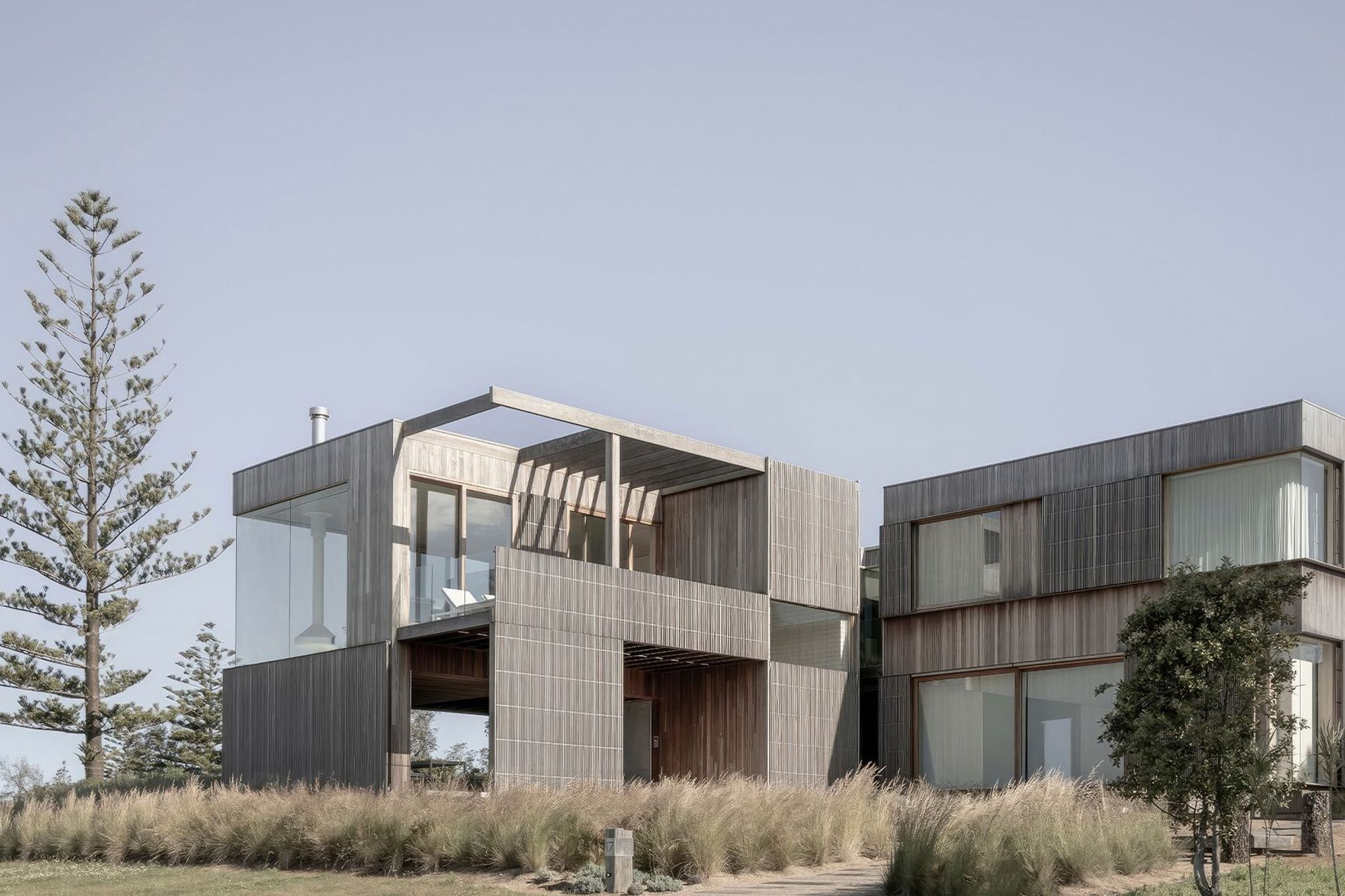 The spotted gum cladding really shines, selected for the way it continues to age and develop a rich patina over time, revealing its raw beauty.