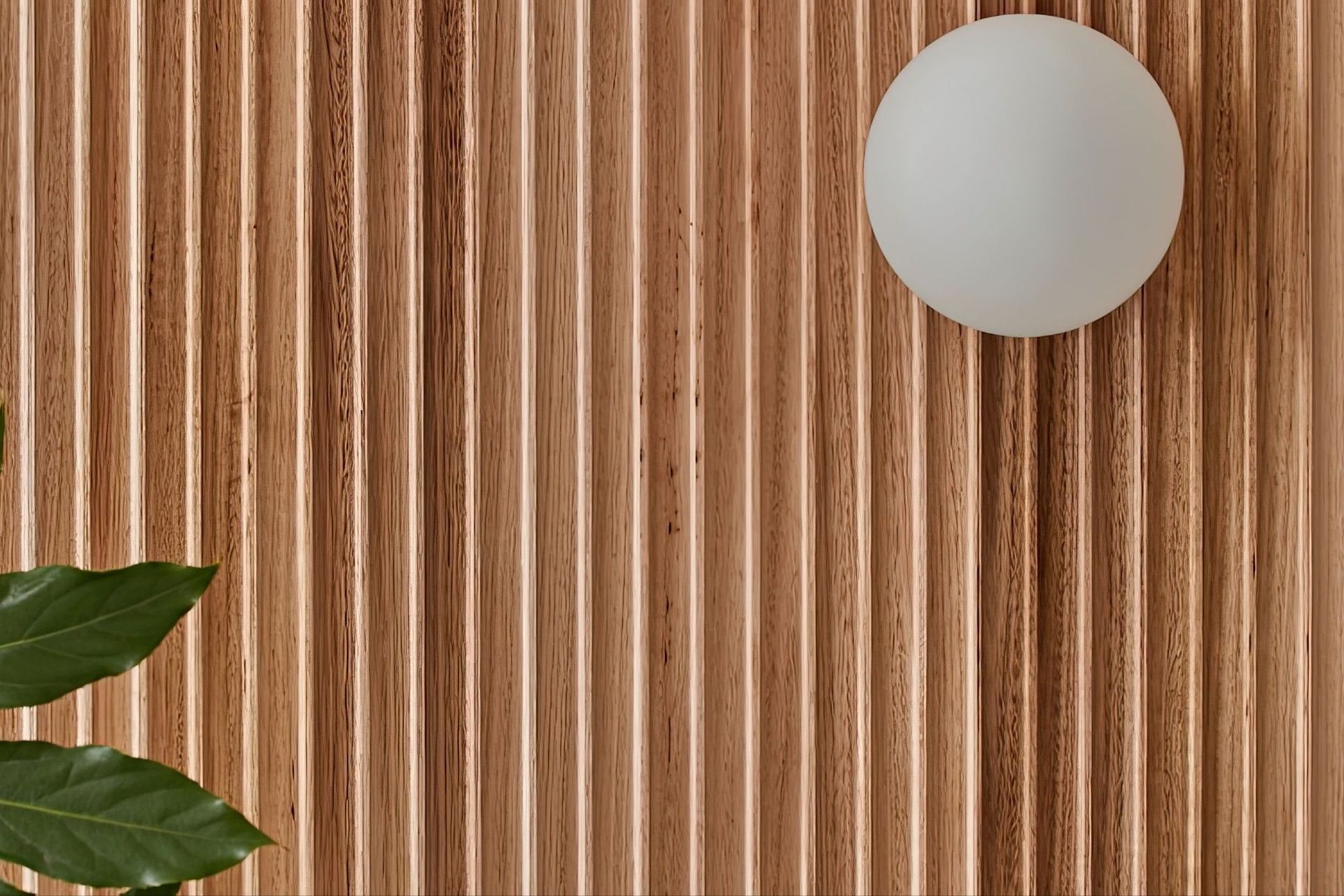 Contours, Isthmus in Tasmanian Oak