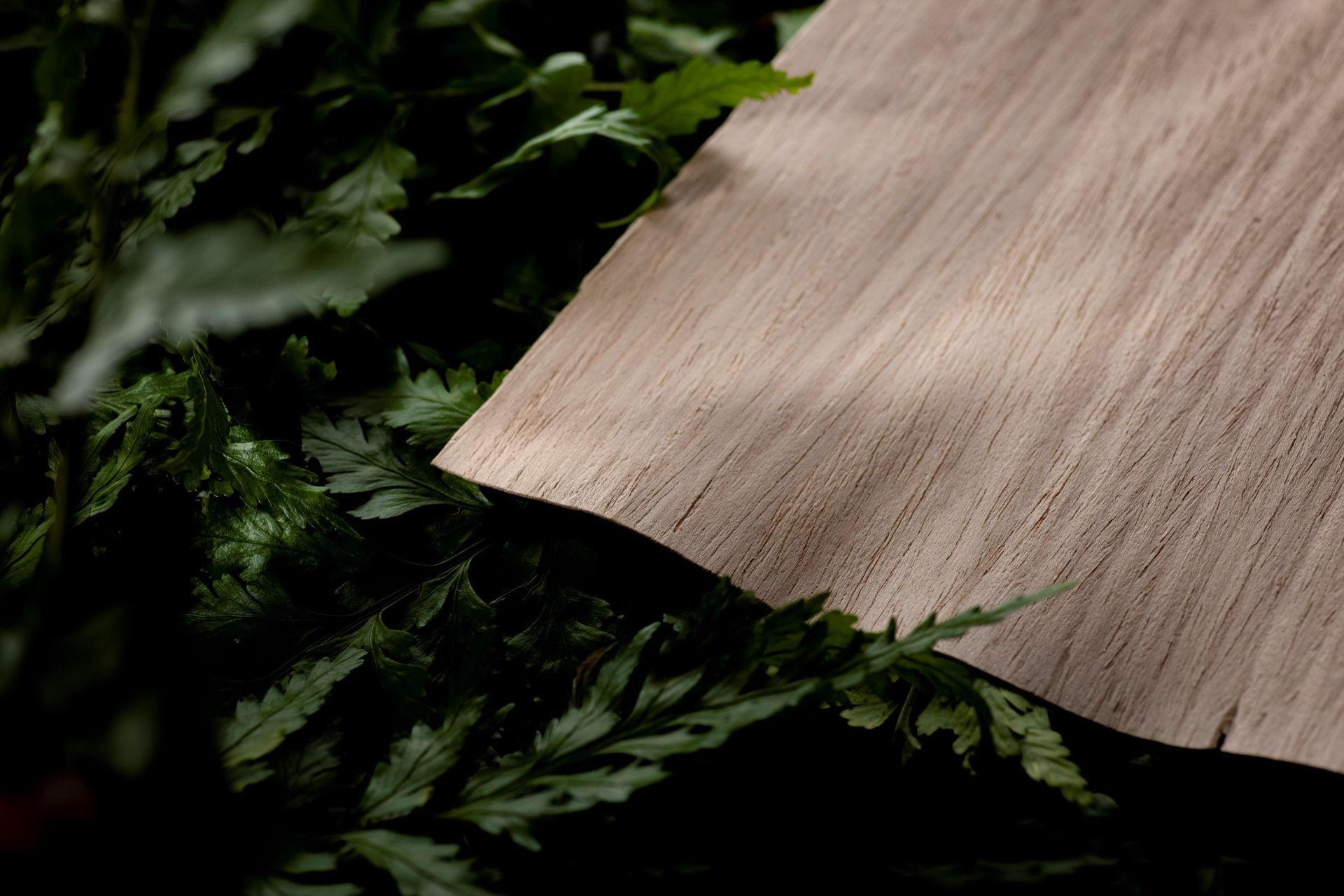 The Evoake veneer range from Bestwood.