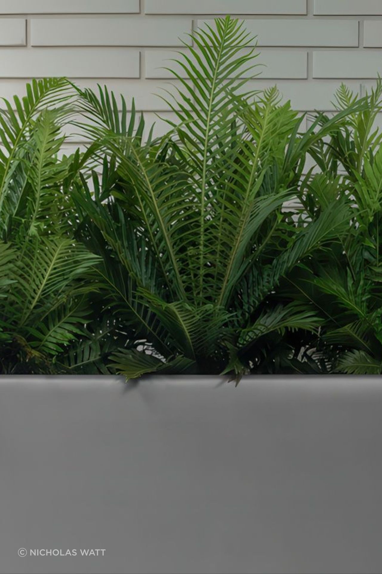 30610a93132b-beauty-meets-functionality-2-36a00a935x536cropcenter-gigapixel-low-resolution-v2-18x.jpeg