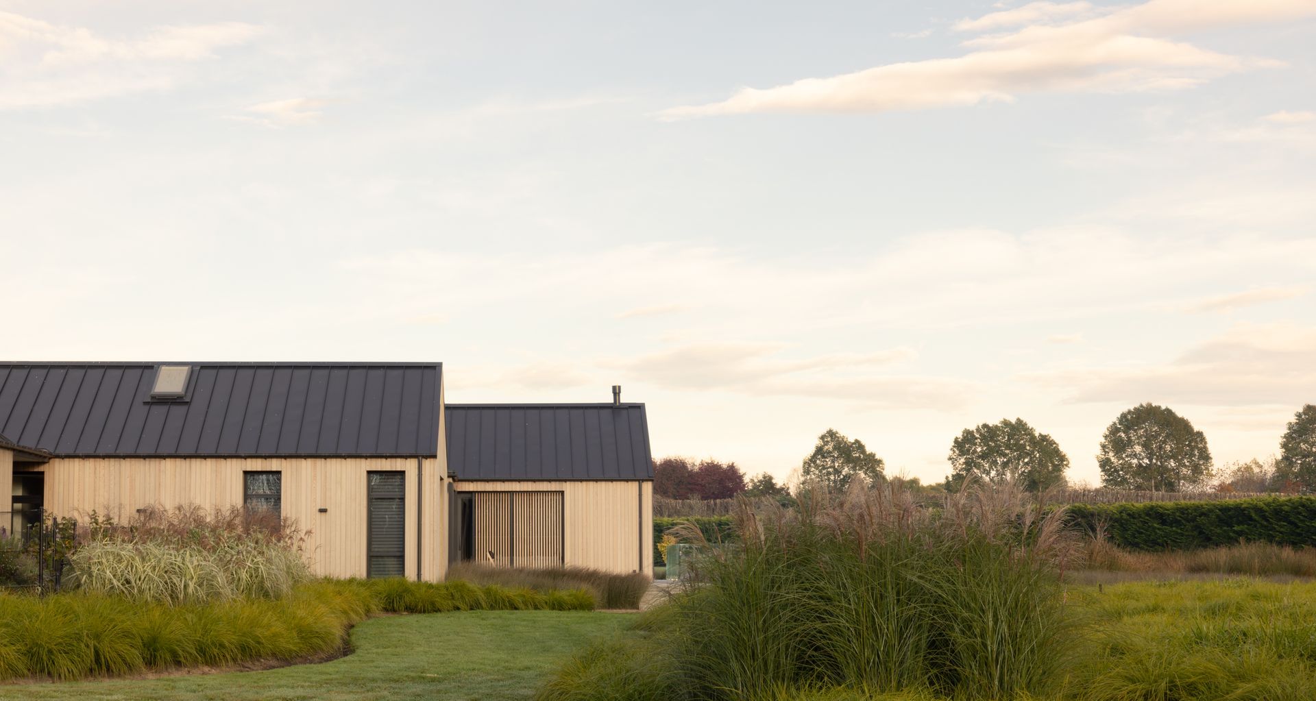 Image credit: Anna McLeod