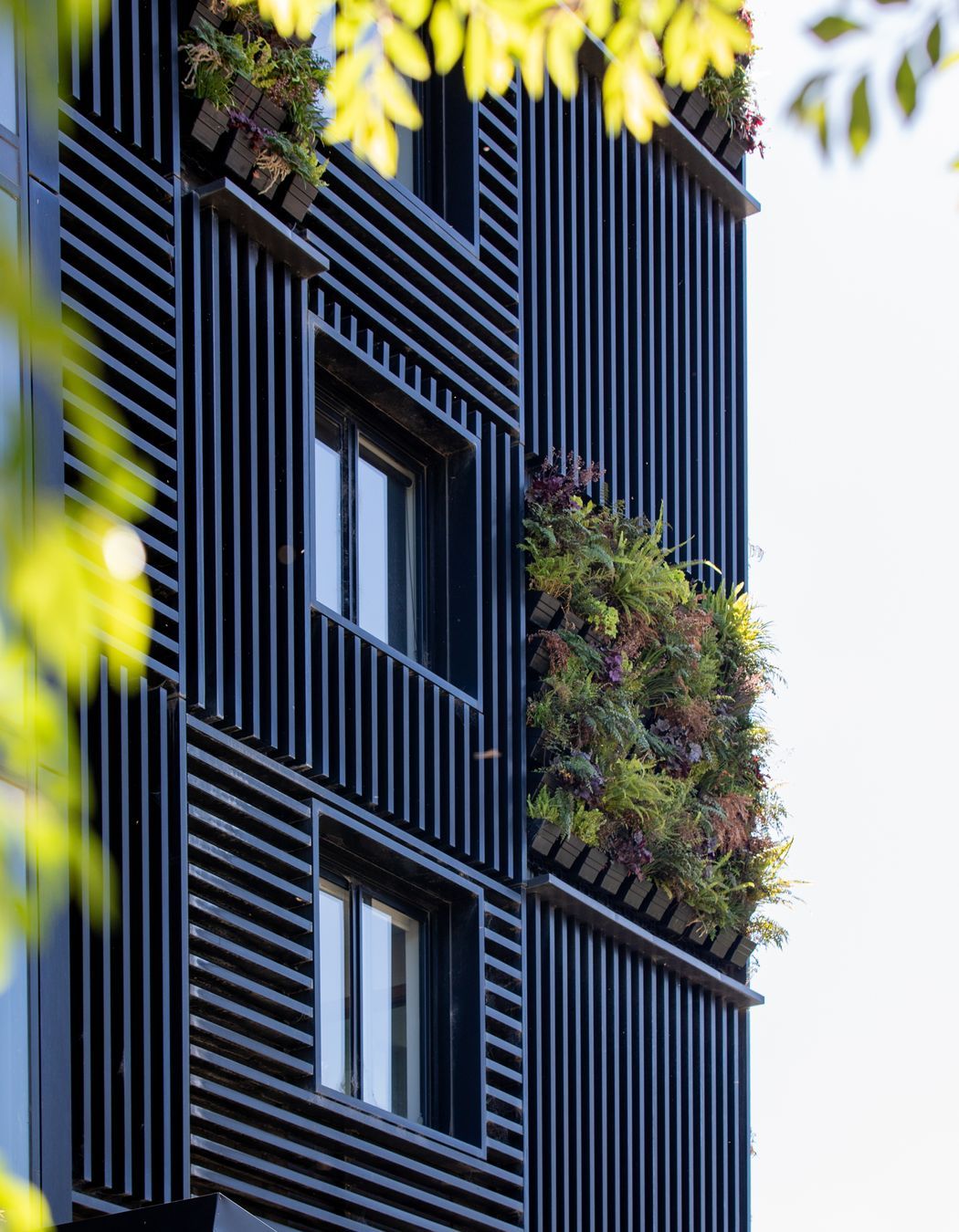 Shroud's creating a visual feature to exterior forms.