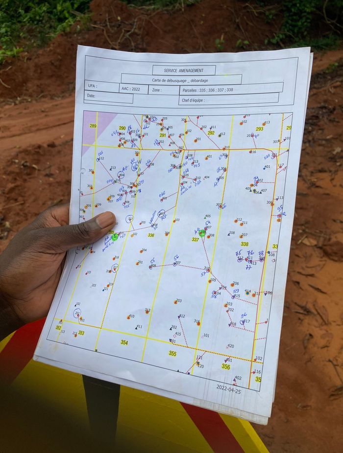 This map displays the layout of the blocks and the specific areas being managed. The numbered sections, such as "338" in the highlighted yellow box, correspond to particular areas of the forest designated for harvest. The tree with the number “216” on the map also indicates its exact location within the block. This systematic numbering ensures a traceable and verifiable process.