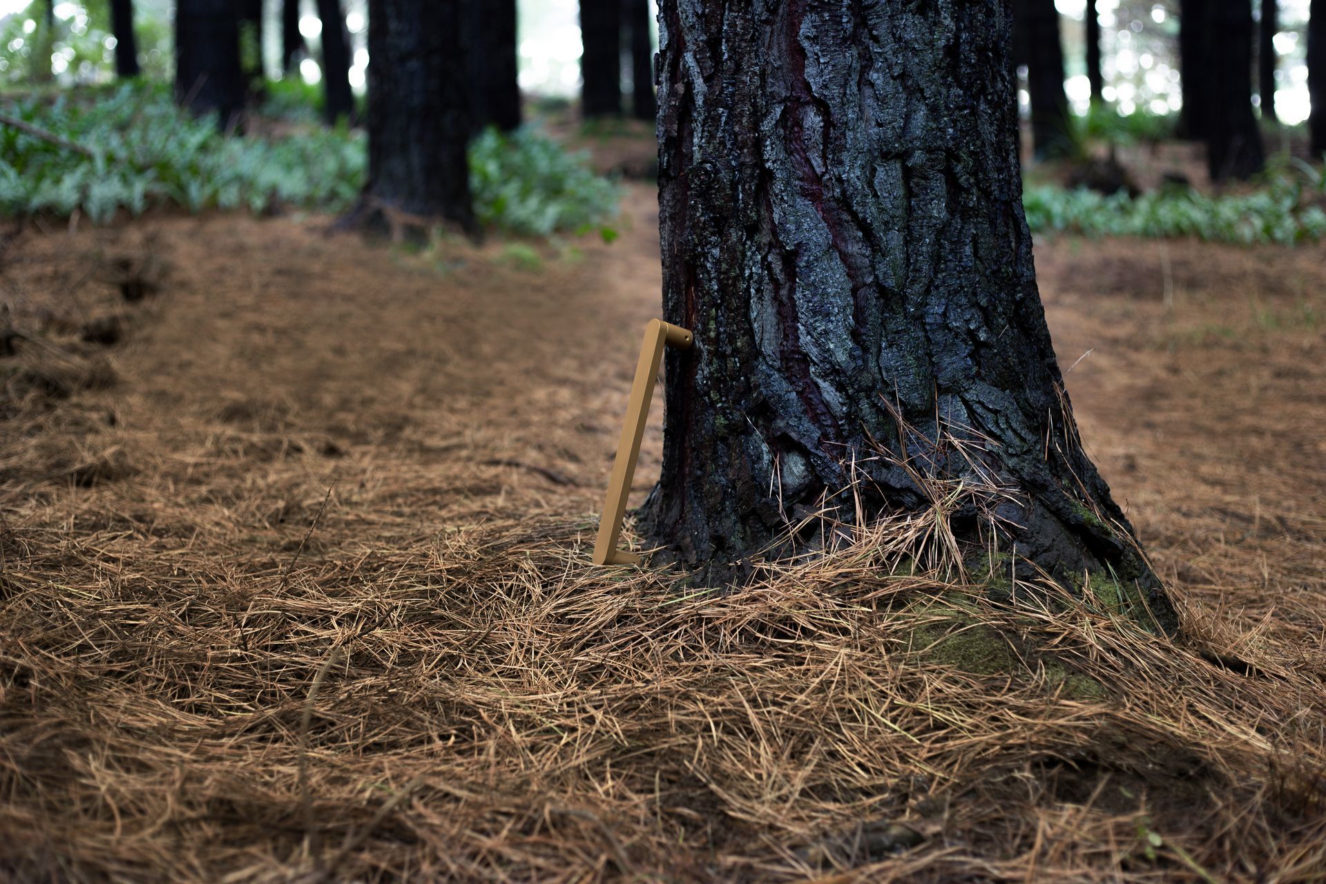 While they are designed primarily for exterior doors, they can be used on interior doors.