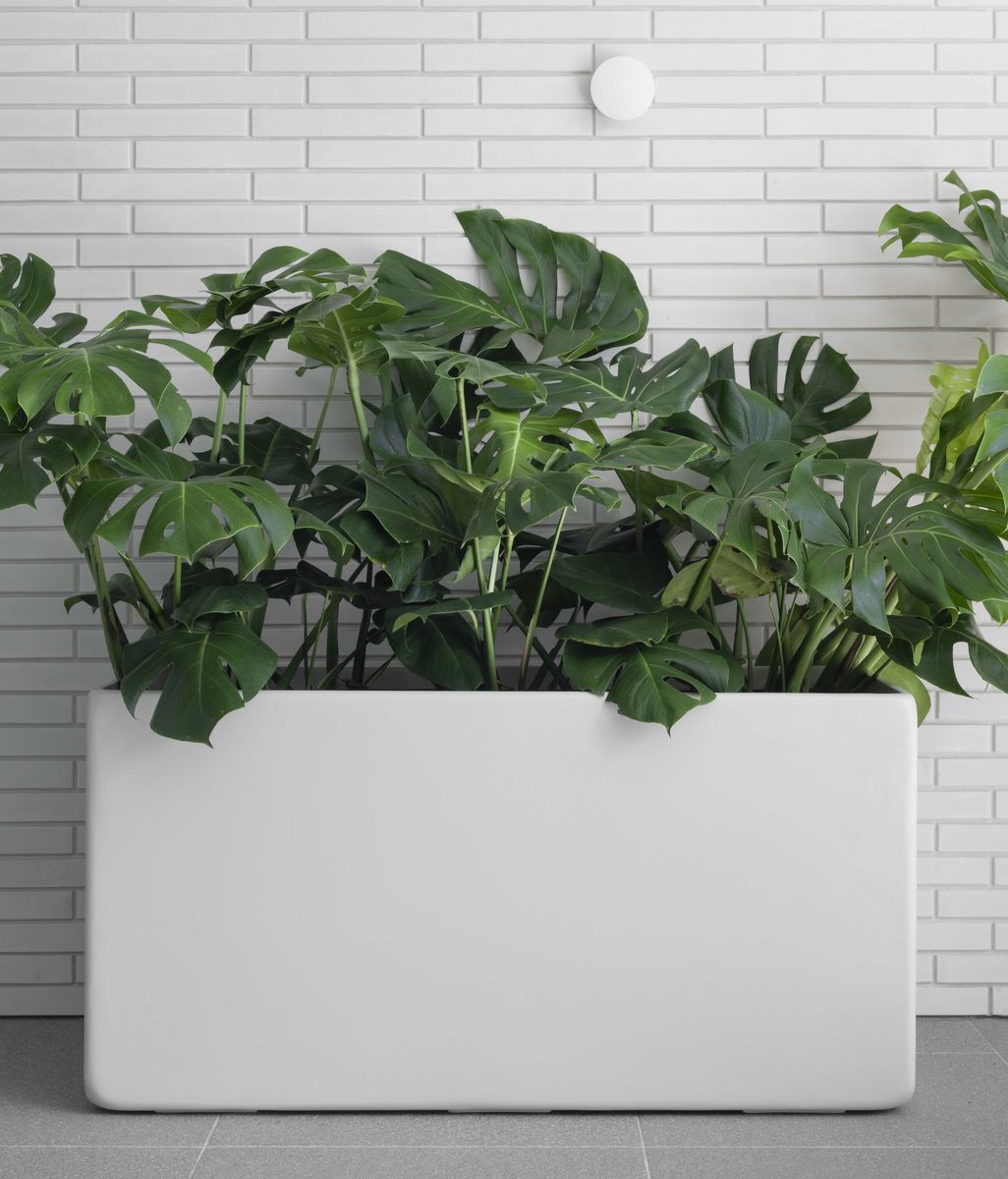 Product Features