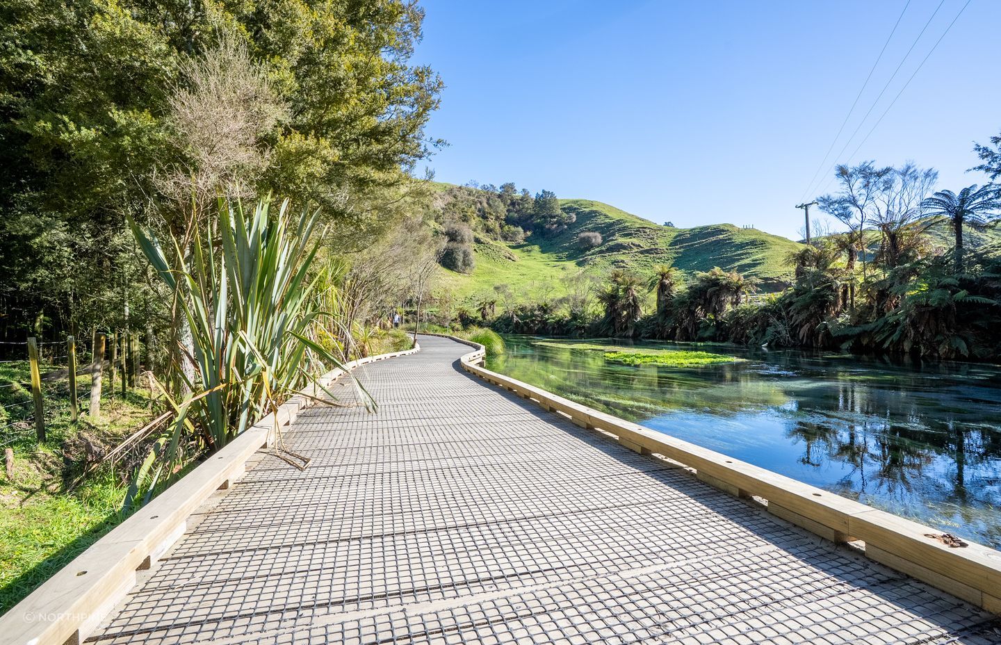 The rebuilt Te Waihou Walkway allows visitors to safely enjoy the stunning natural beauty of the famous ‘Blue Spring’.