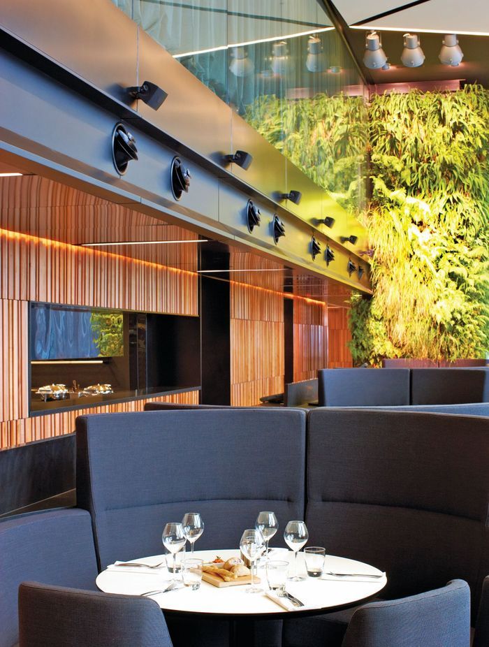 Southland Maple Beech in the Novotel's main lobby.