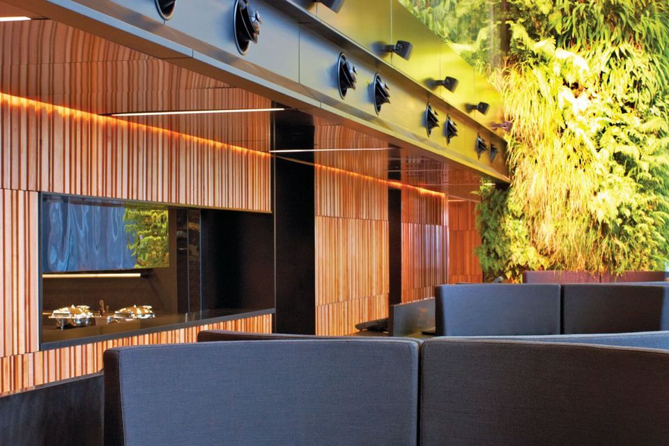 Southland Maple Beech in the Novotel's main lobby.