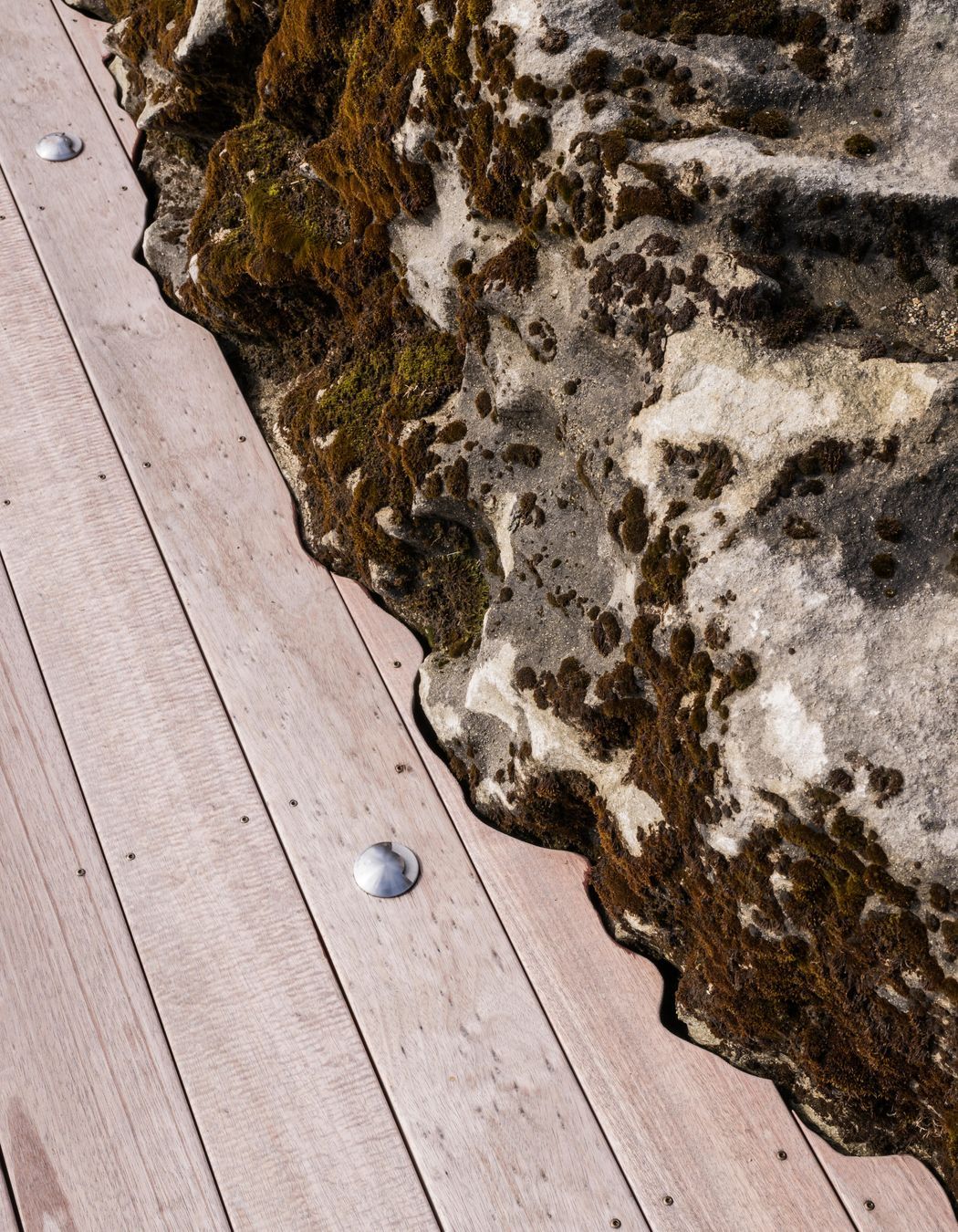 The wood’s natural resistance to decay, moisture, and insect attack makes these timbers a reliable option for both residential and commercial applications, plus they require minimal maintenance over time which means you can avoid the use of man-made chemicals.