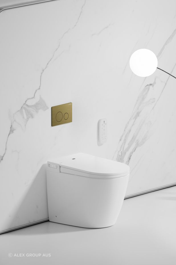 The hidden cistern allows for a stylish in-wall flush plate.