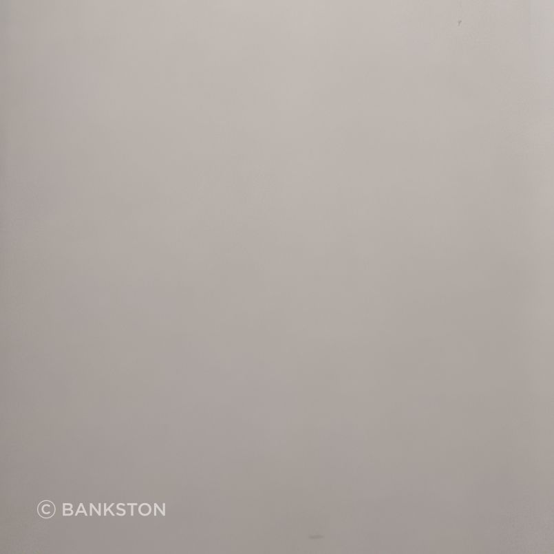 Smooth Nickel