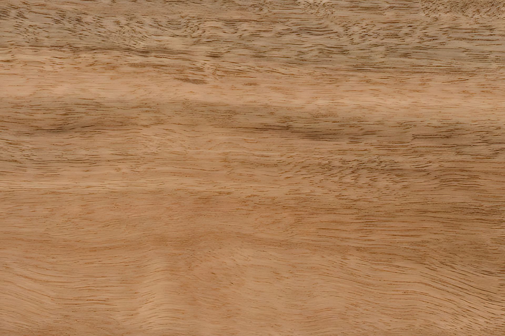 Spotted Gum (Corymbia Maculata, Corymbia Citrodora, Eucalyptus Henryi)