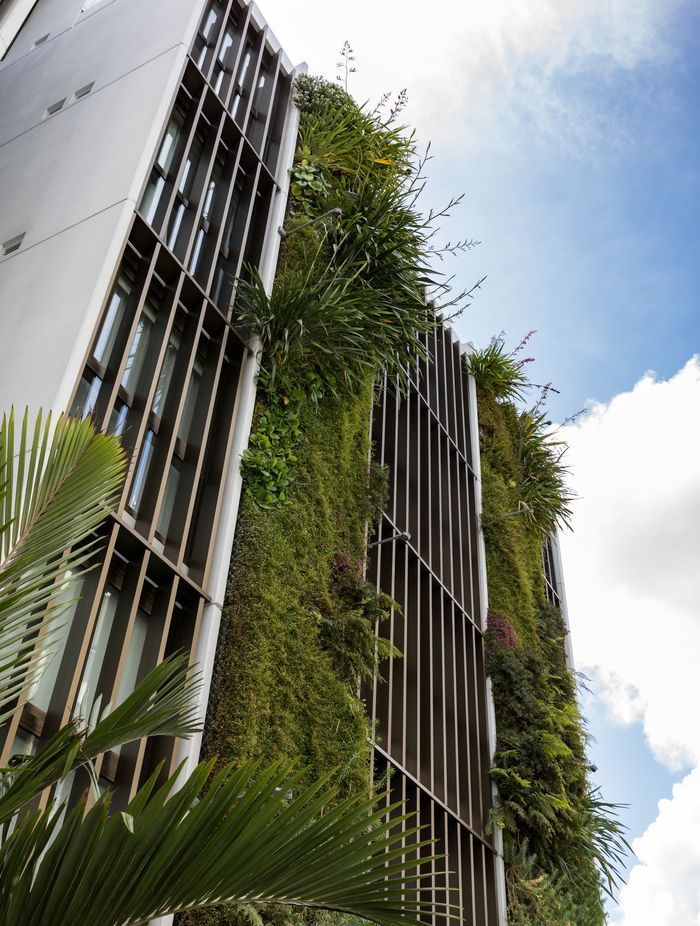 Three green walls each reach five levels high on the St Marks Apartments in Auckland. Combined, the green walls feature over 5,000 plants.