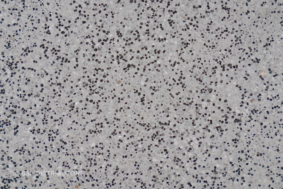 Ultra Quartz™ Pool Plaster | Volcanic