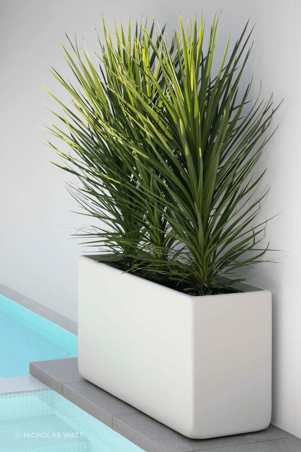 aba9d235a9f5-pool-planter-4c6ac3.png