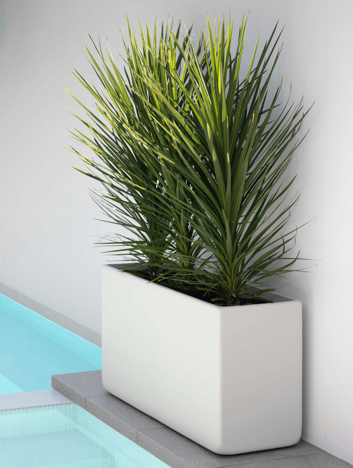 aba9d235a9f5-pool-planter-4c6ac3.png