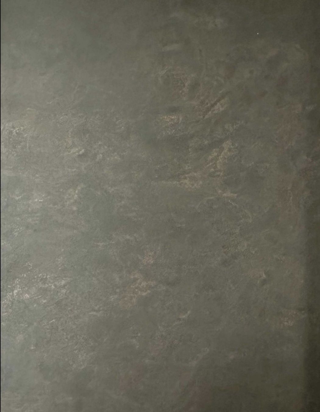 Blackened Stainless Steel