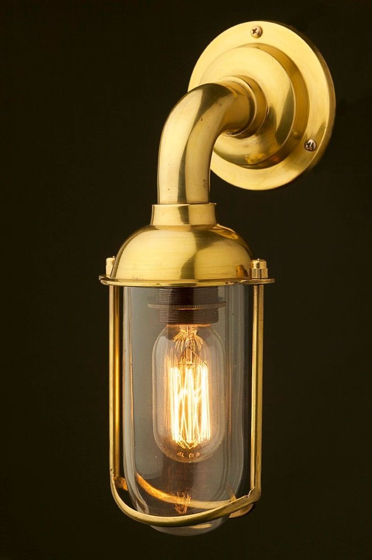 Edison Light Globes - Glass Fish Mouth Wall Light