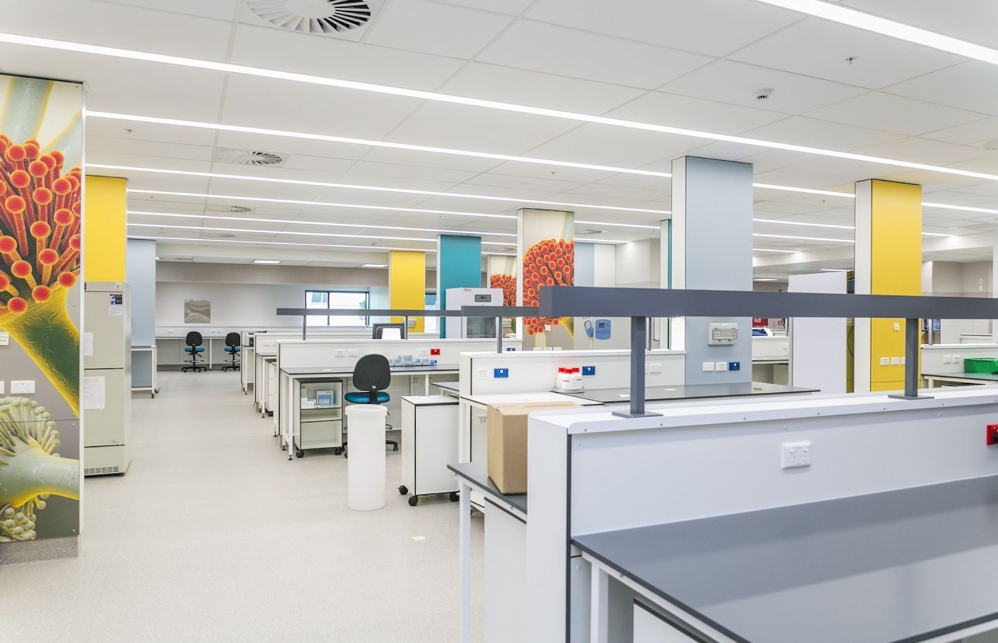 The Silk Design & Build team are experts at creating spaces for medical facilities.