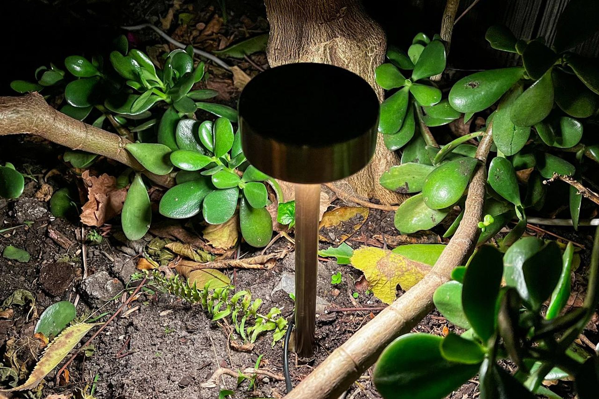 Nocturnal Beetle Garden Light
By Lucian Architectural Lighting