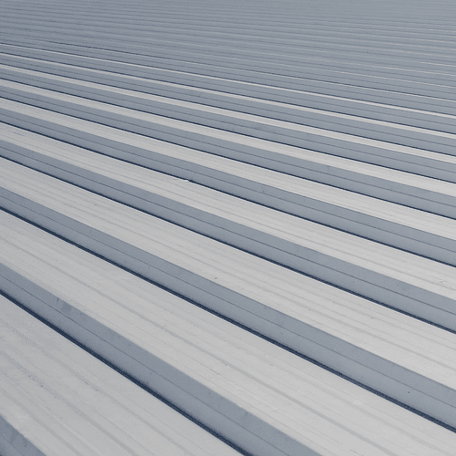 productimage-v81.png