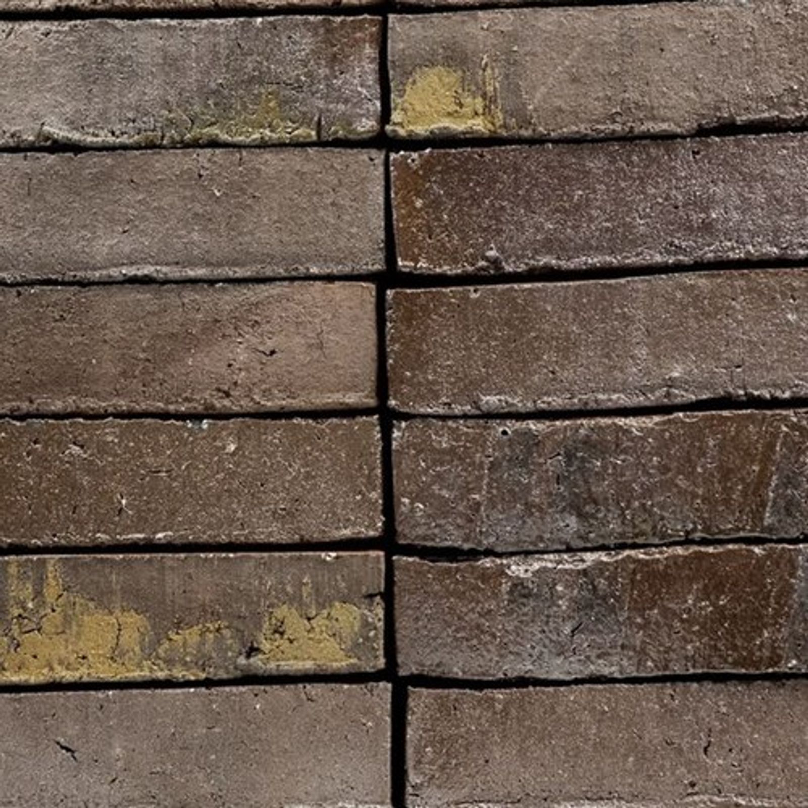 productimage-v966e397acb.jpg