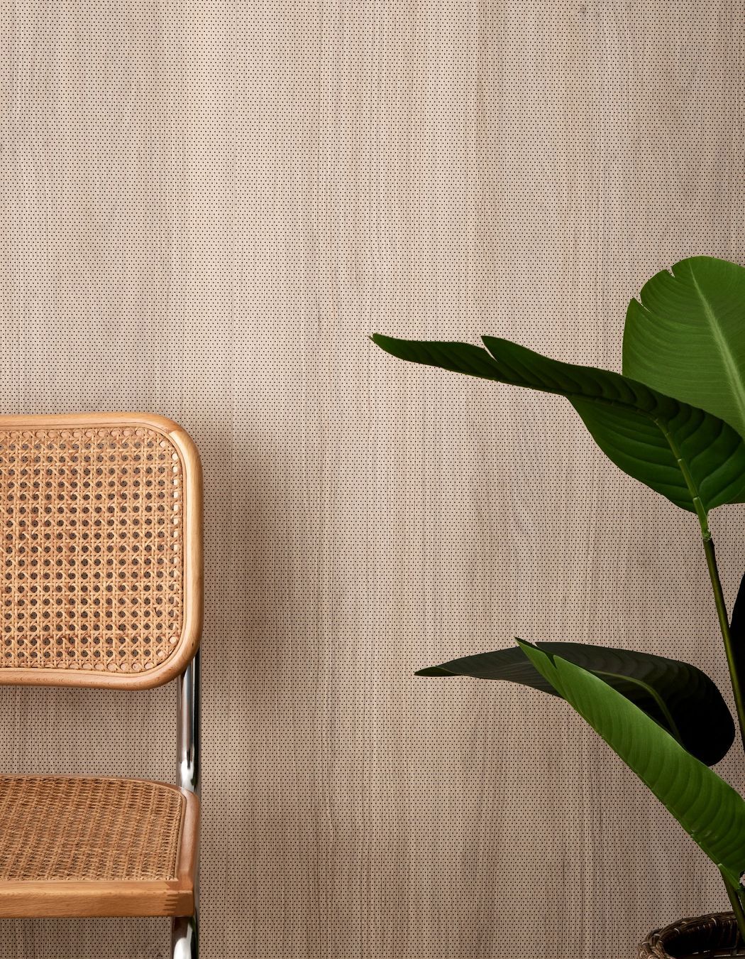 SOUNDLINA in American oak.