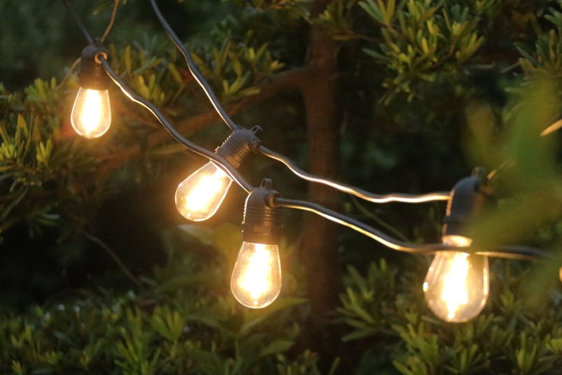 The warm lights of the Outdoor Led Festoon String Lights helps create a magical glow in a garden.
